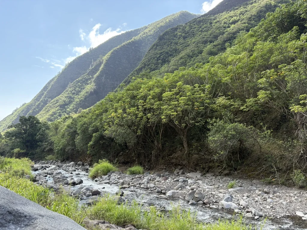 Iao Needle Lookout Trail maui