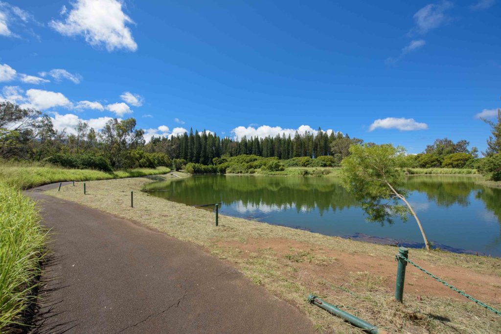 Kapalua-Village-Walking-Trails maui
