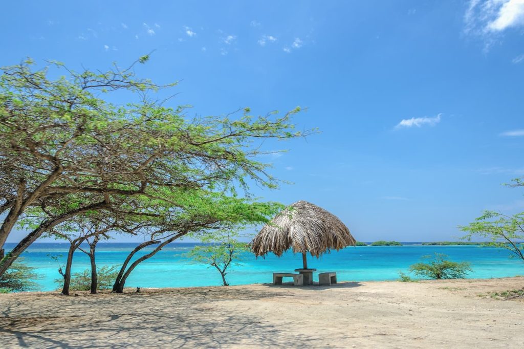 Mangel-Halto-Beach-Aruba