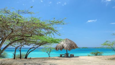Mangel-Halto-Beach-Aruba
