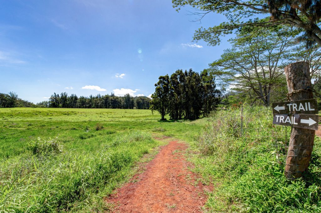 Wai Koa trail kauai