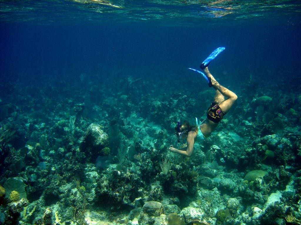 andros barrier reef snorkel bahamas