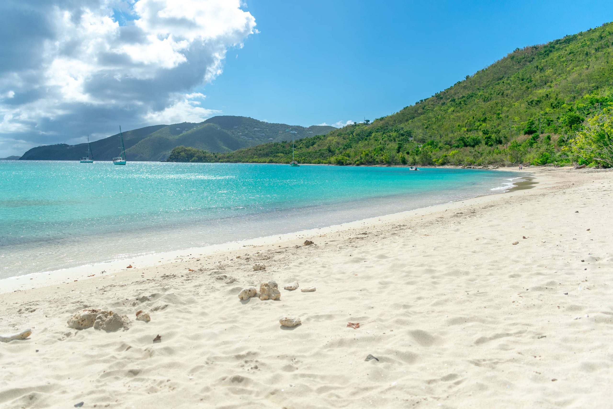 Snorkeling Guide to Brewers Bay, St. Thomas for Families