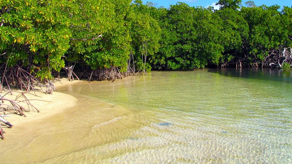 cas cay trail st thomas