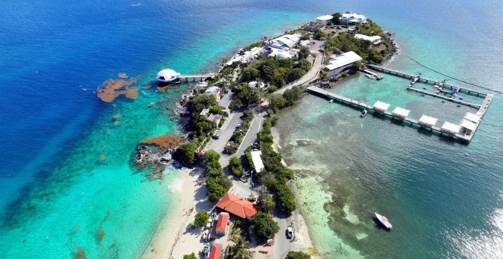 coral world ocean park st thomas