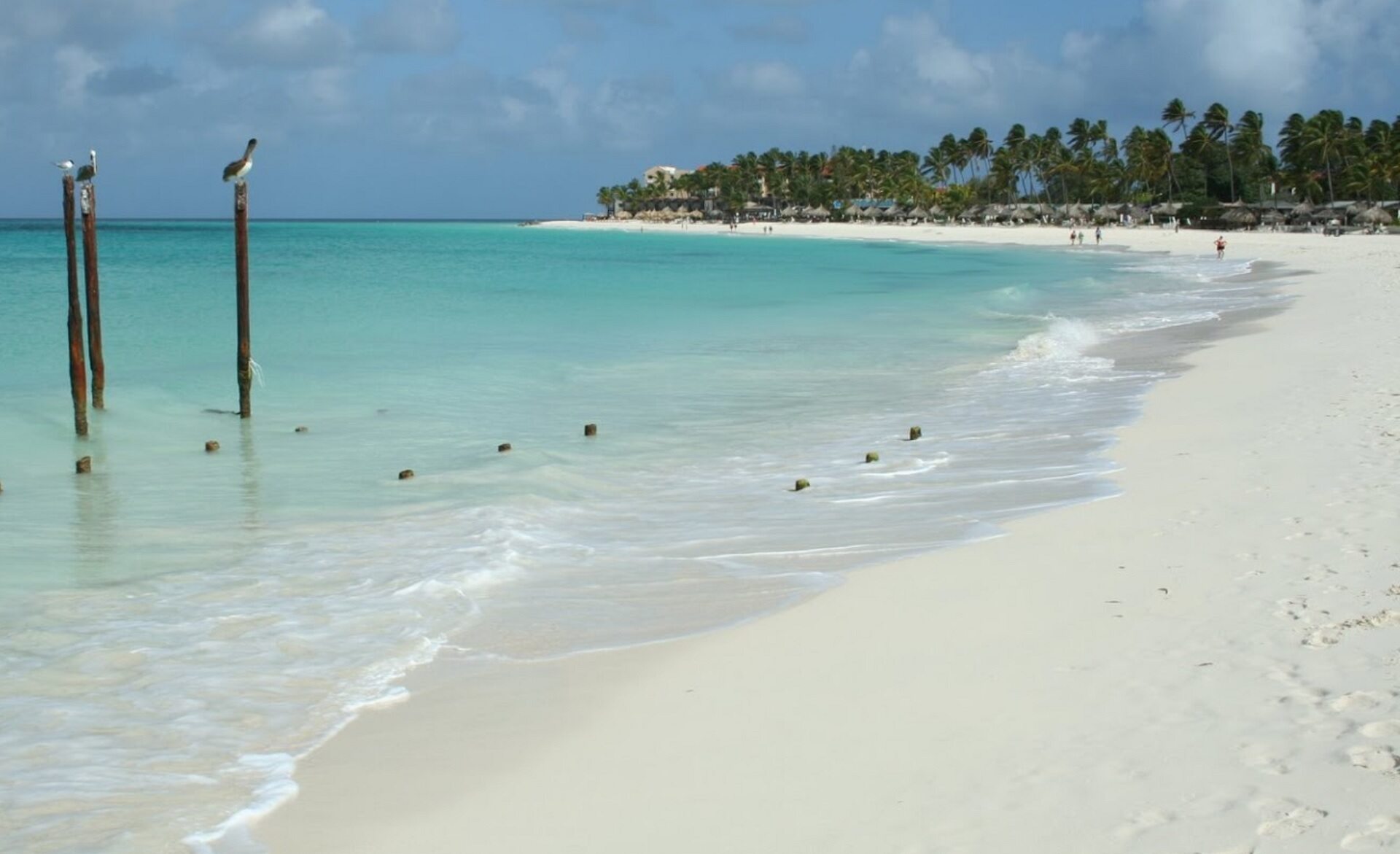 divi beach aruba