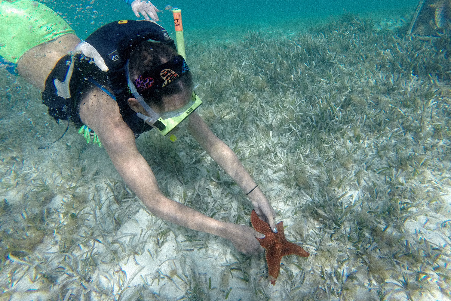 funky fish club bahamas