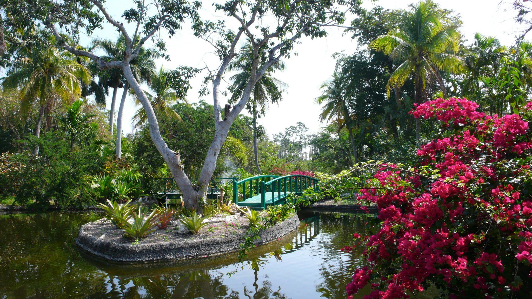 garden of the groves bahamas