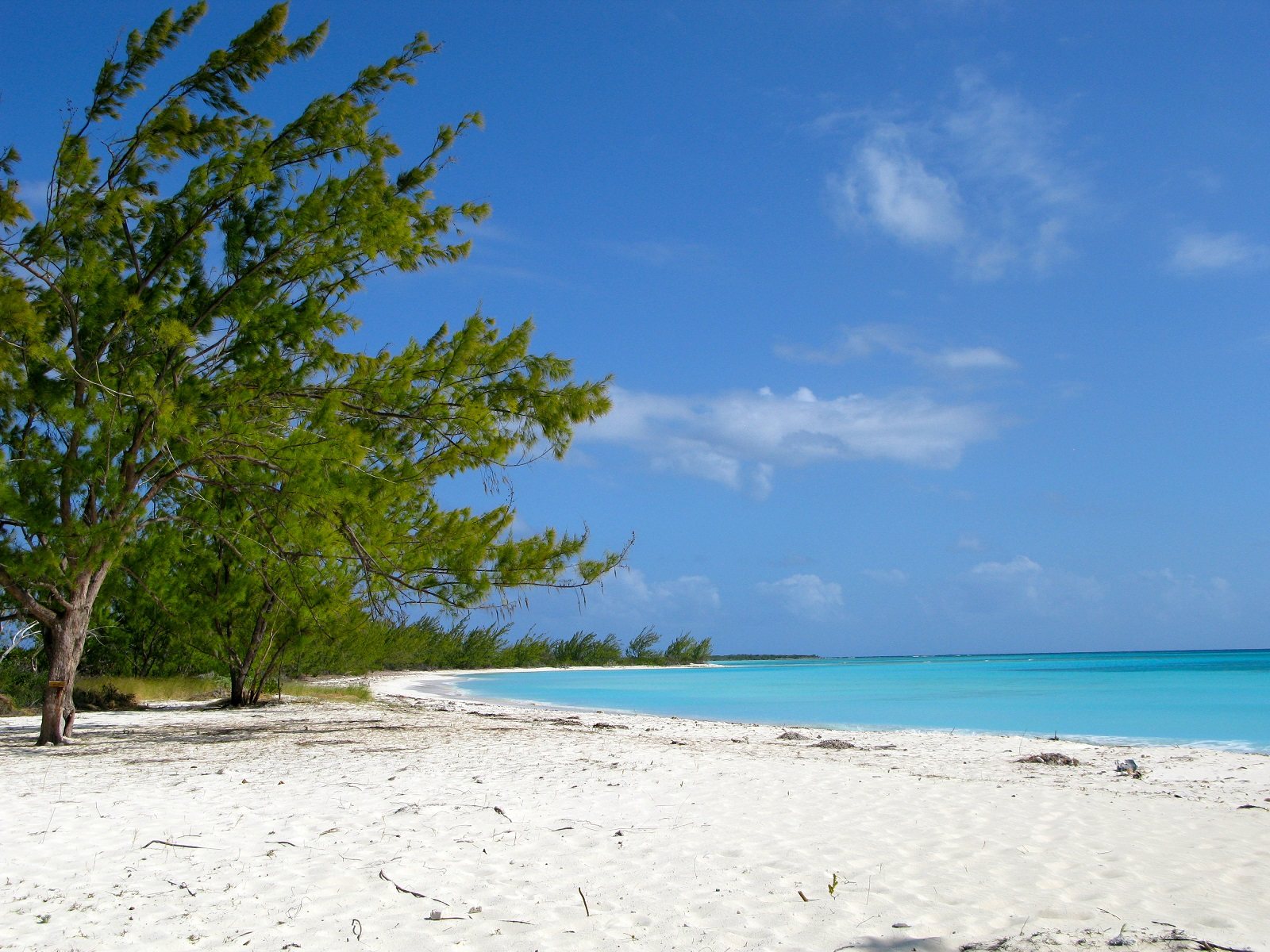 gordons-beach bahamas
