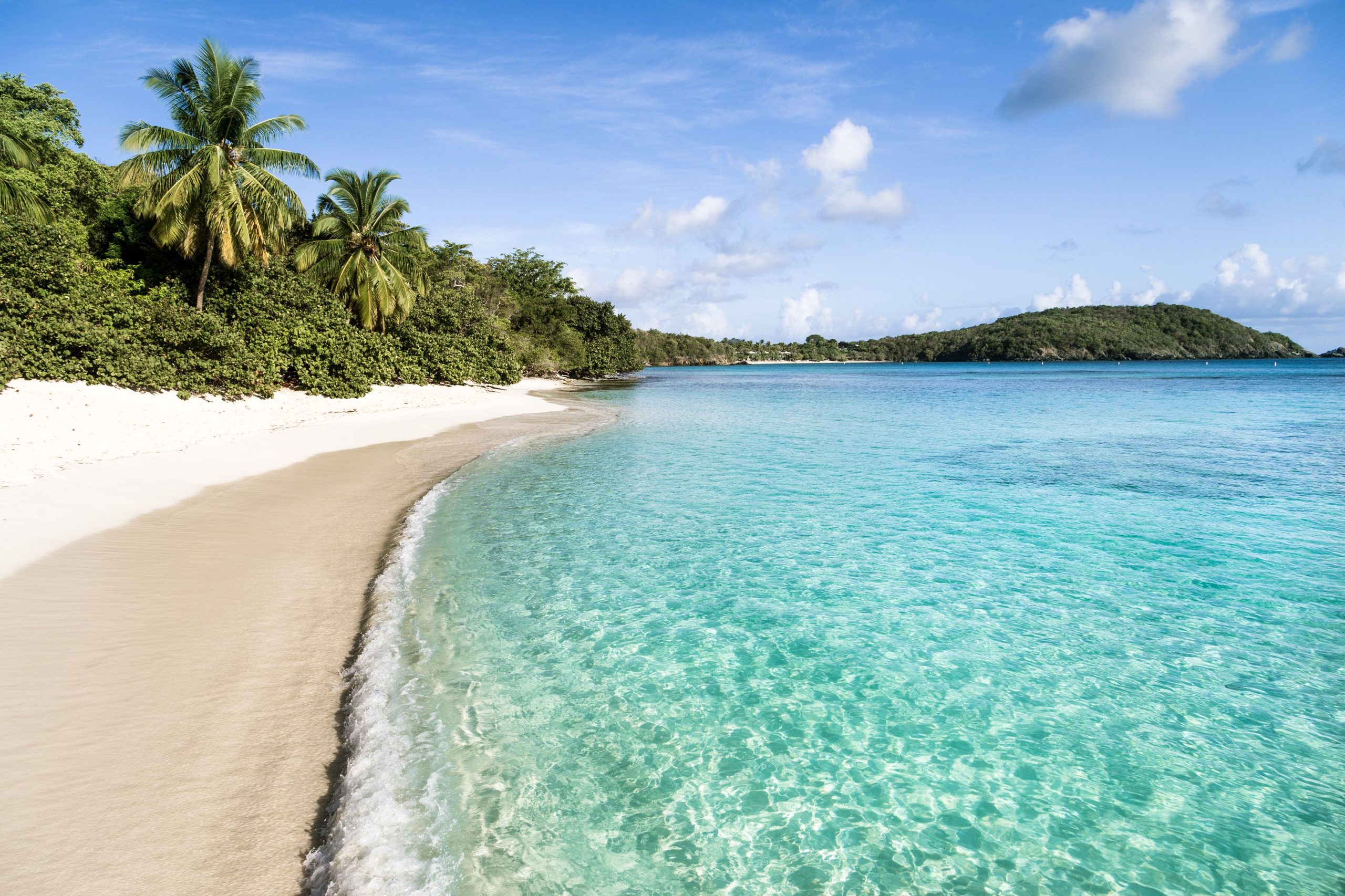 Snorkeling Guide to Hawksnest Beach, St John