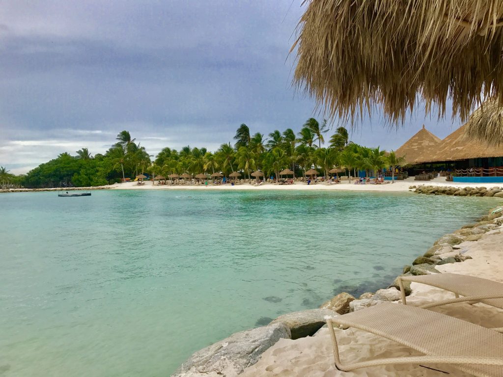 iguana beach aruba