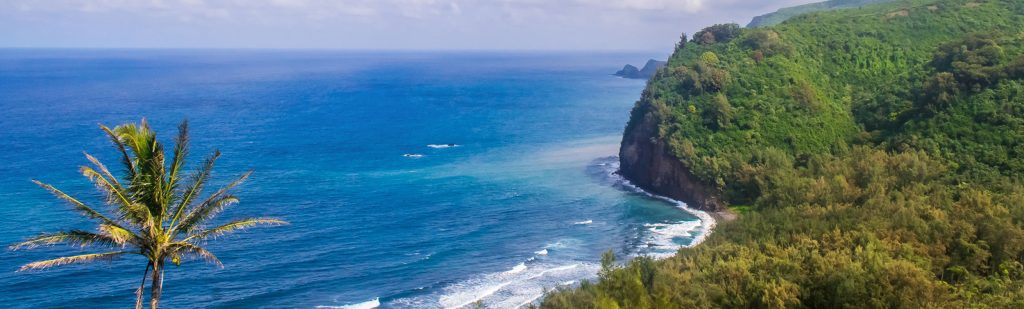kohala-region-big-island