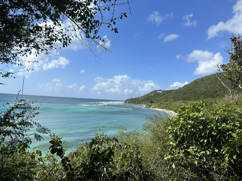 lameshur bay trail view st john