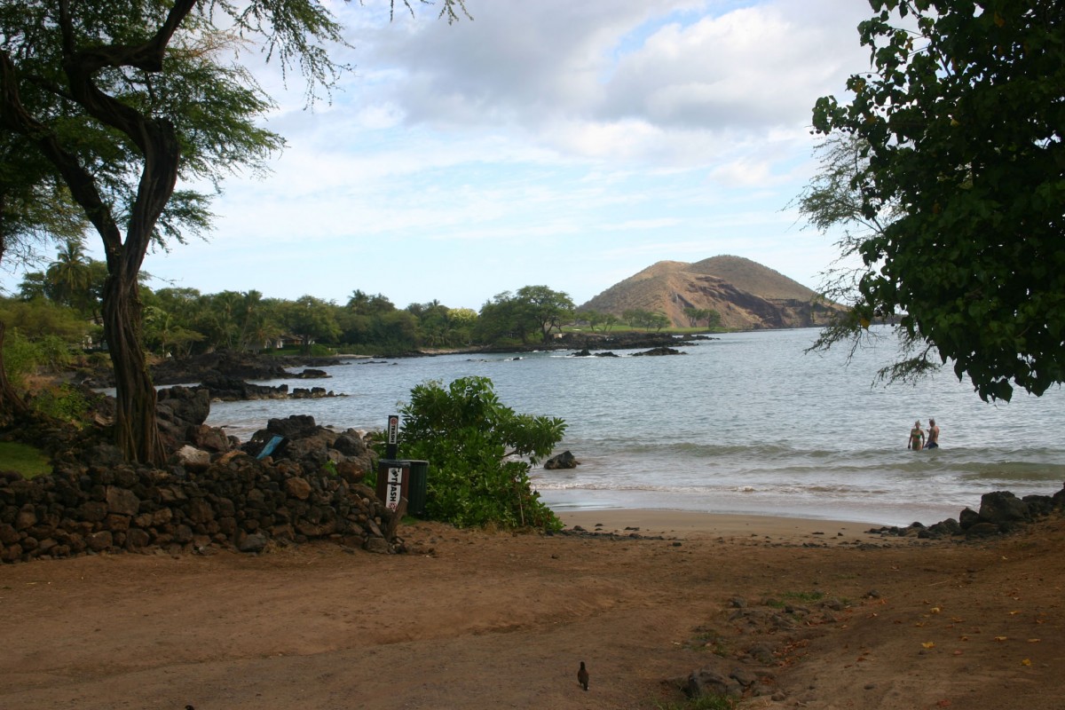 Snorkeling Guide to Makena Landing, Maui