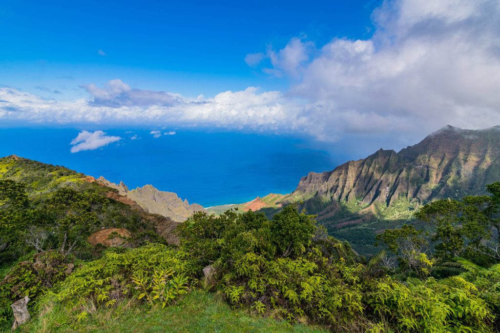 napali coast from pihea trail kauai