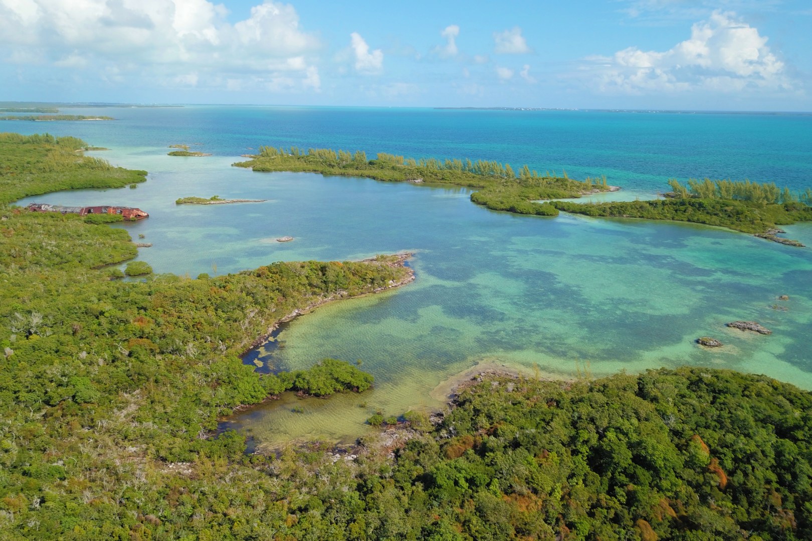 national trust nature reserve bahamas