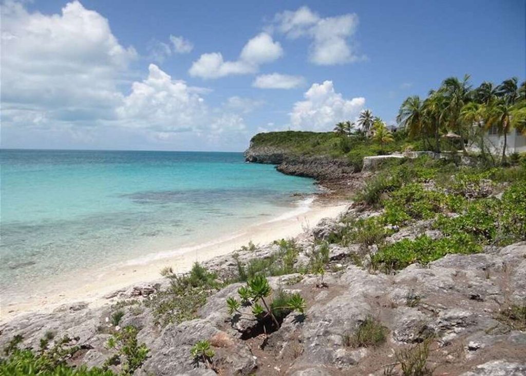 oleander reef eleuthera bahamas
