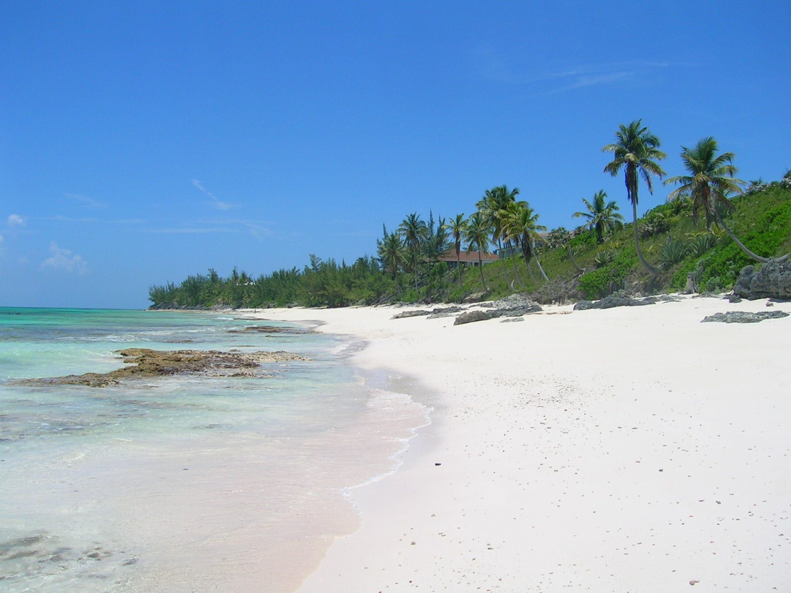 pink sand beach bahamas
