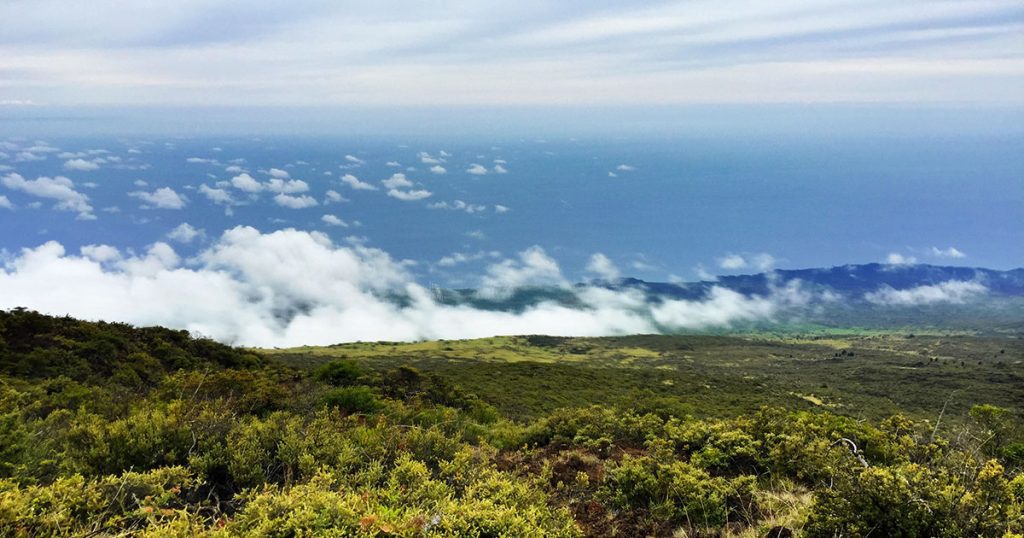 polipoli-park maui