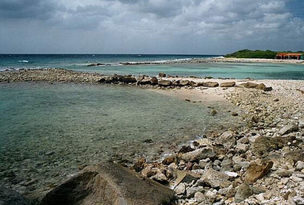 Snorkeling Puerto Chiquito with Kids in Aruba - What Families Need to Know Before You Go