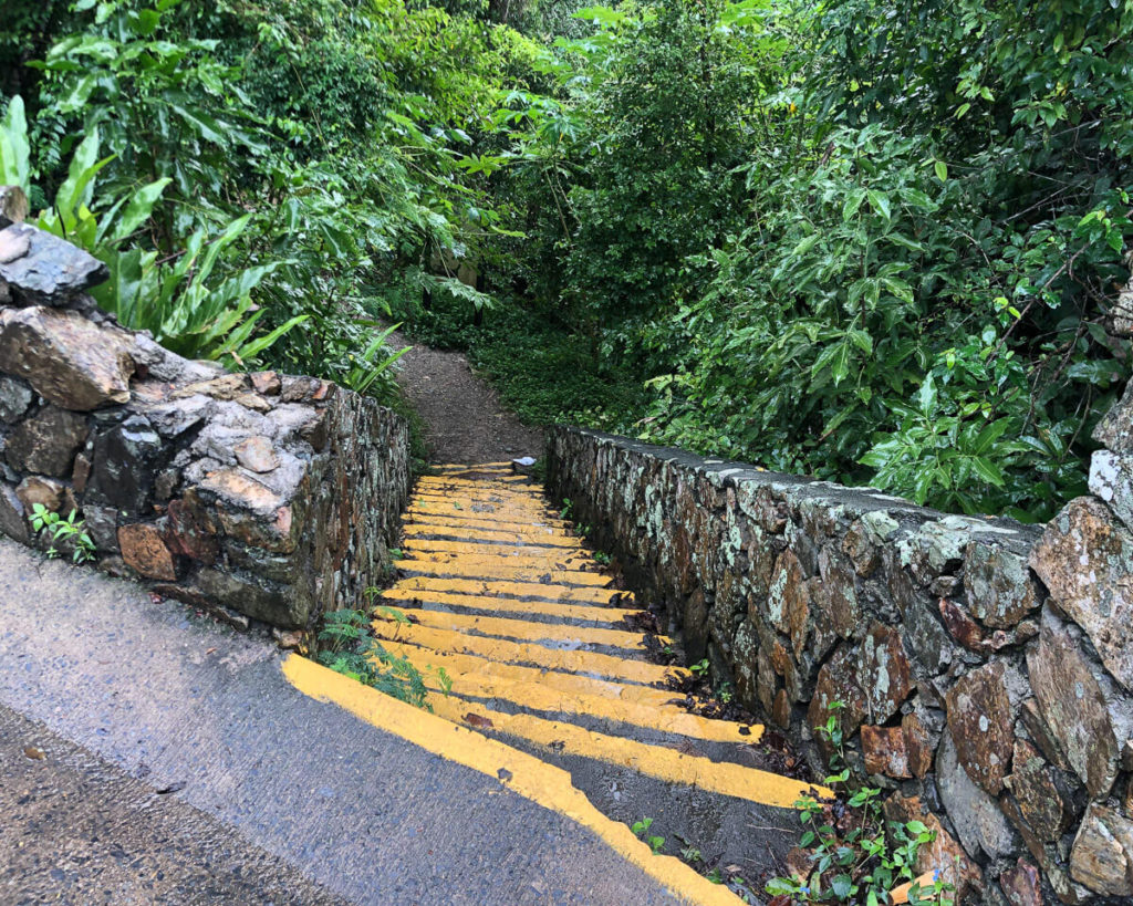 reef bay trail st john