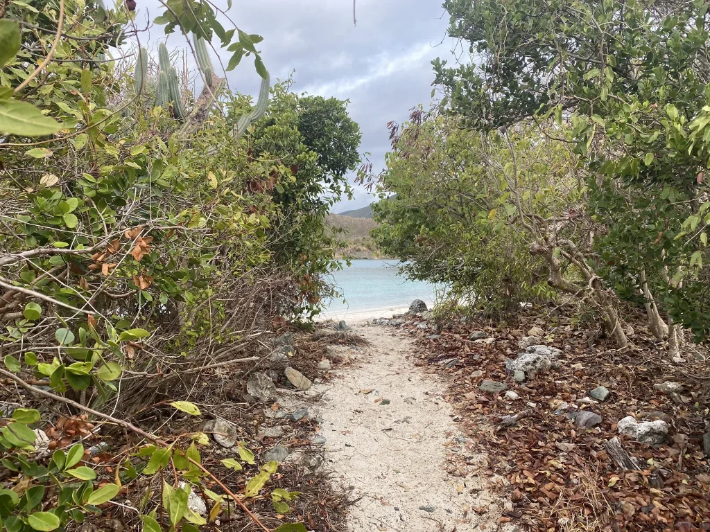 salt pond drunk bay trail st john