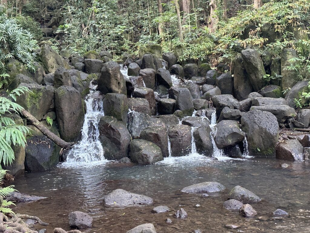 secret falls hike kauai