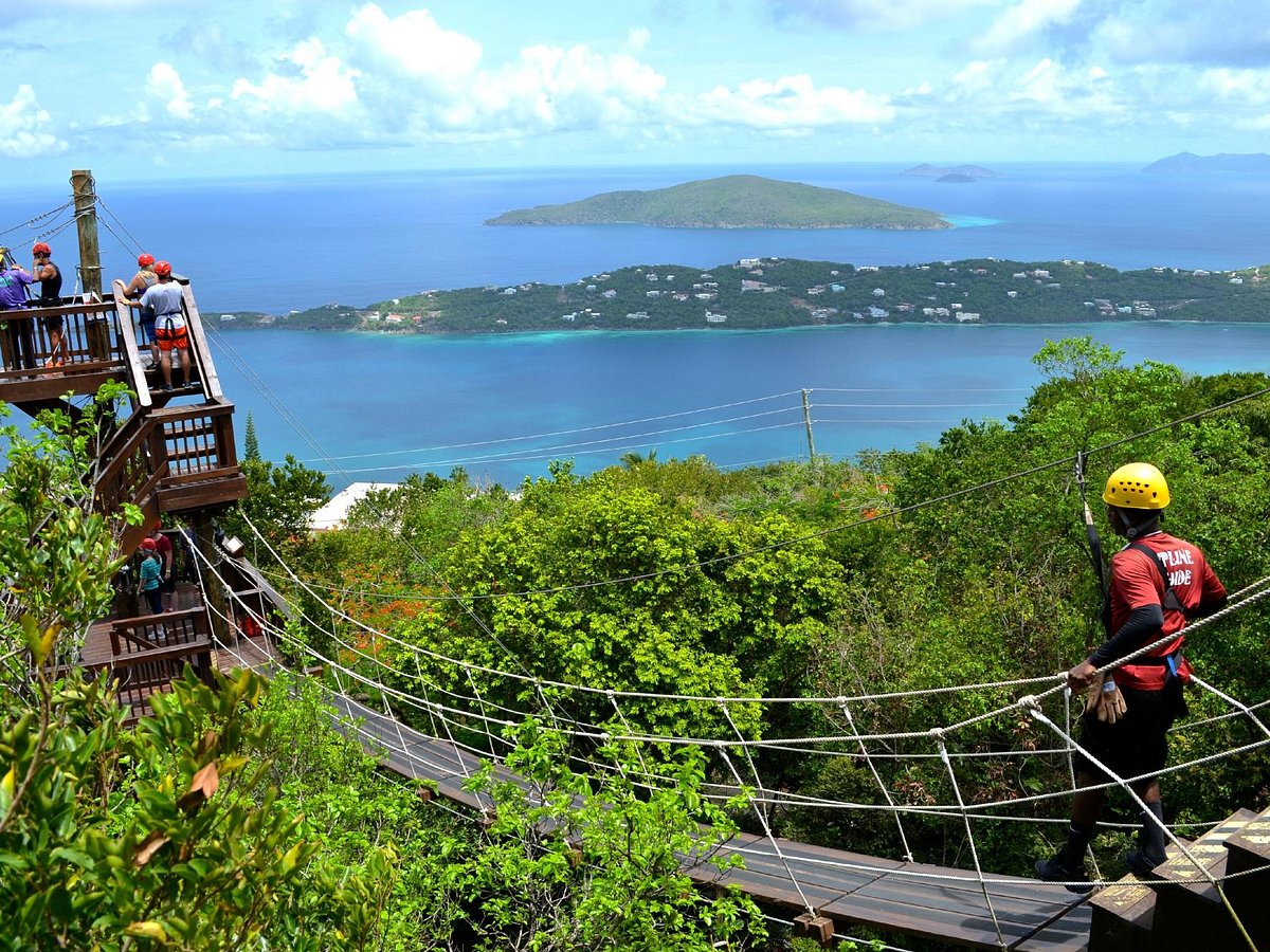 tree-limin-extreme-zipline st thomas