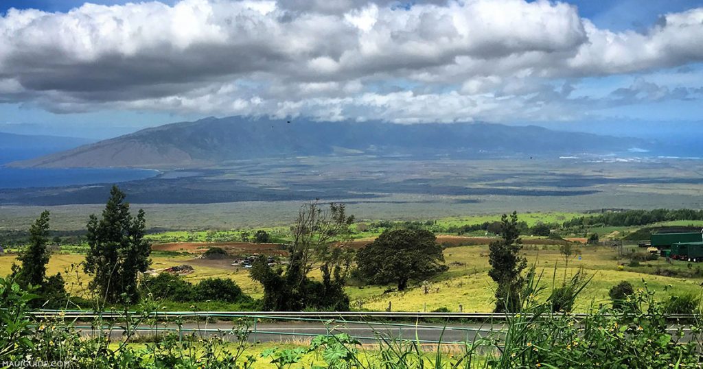 upcountry-maui