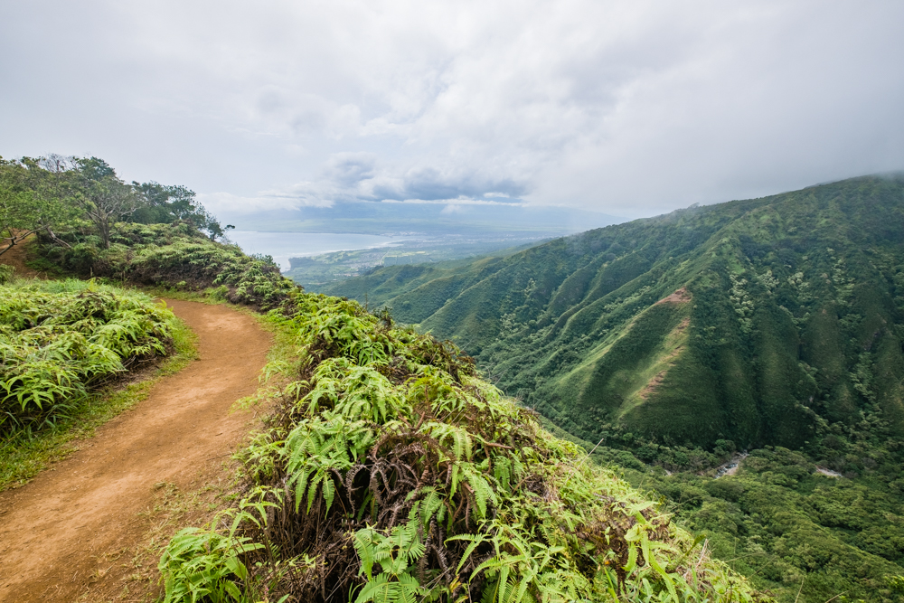 waihee ridge trail maui
