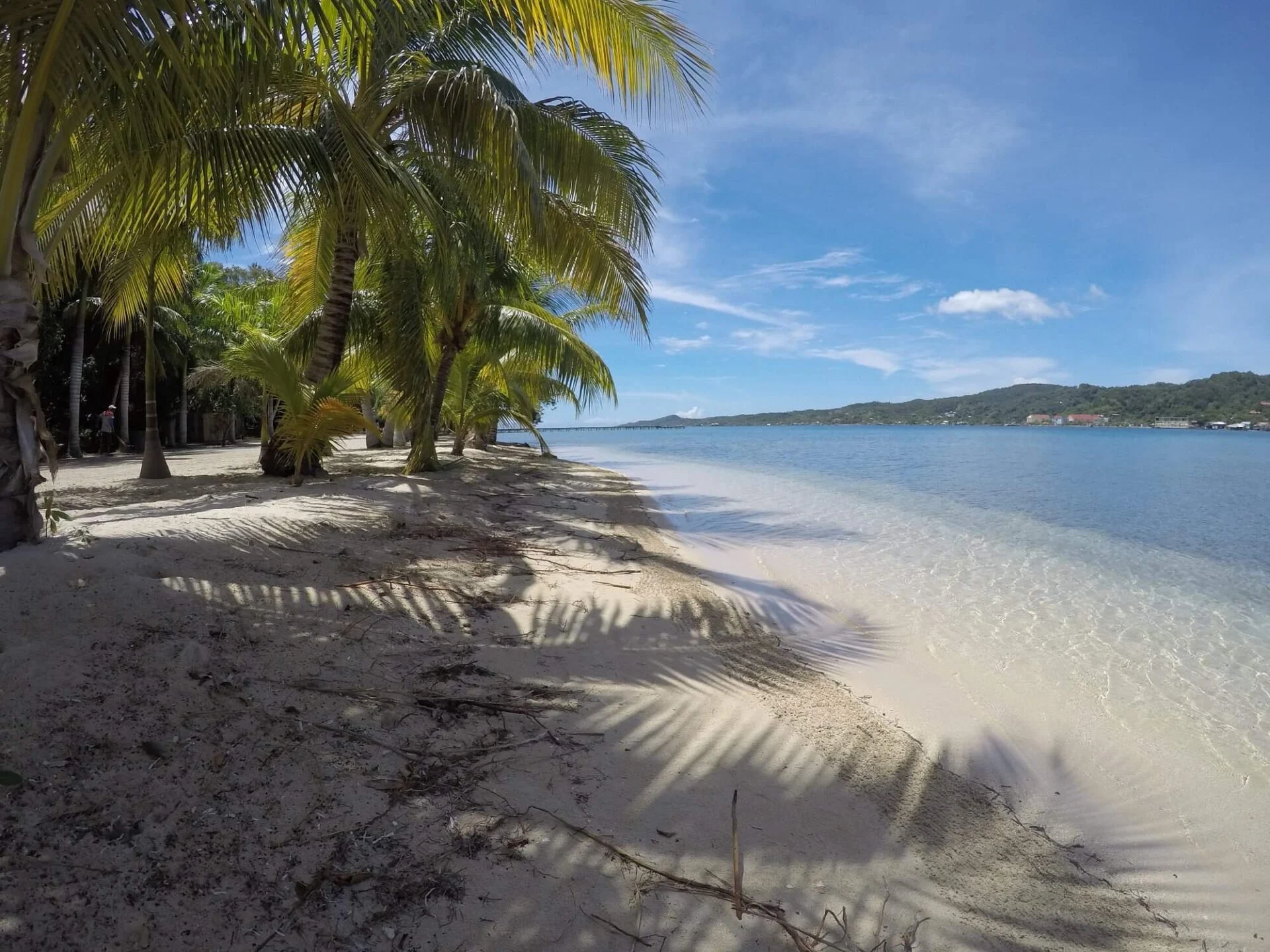 Snorkeling Guide to Maya Key Roatan with Kids