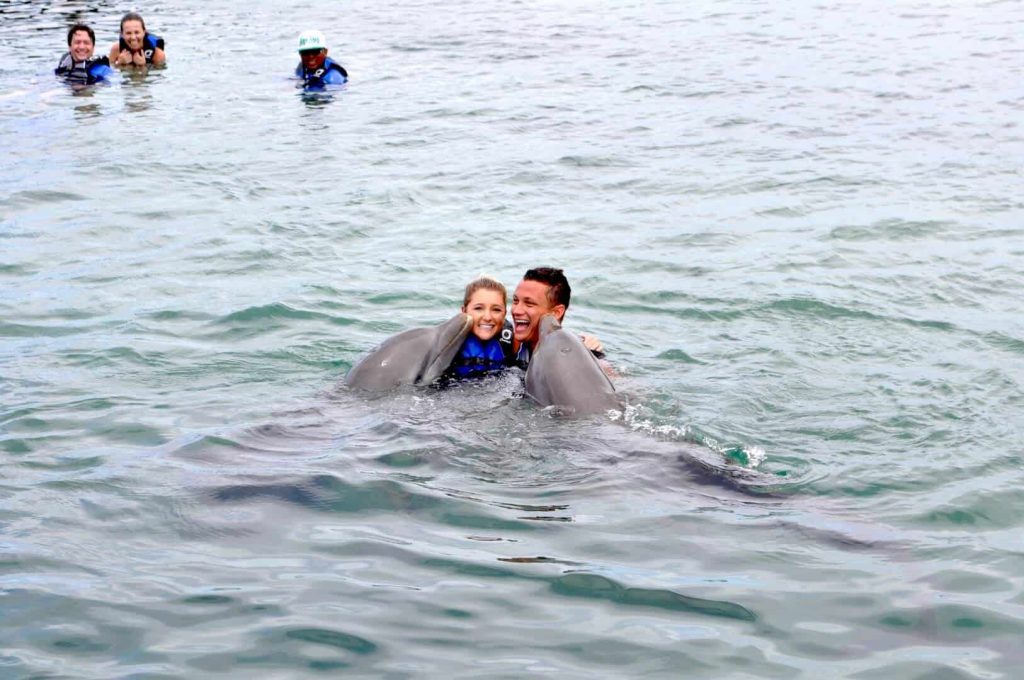 Roatan-Dolphin