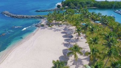 Tamarind-Reef st croix