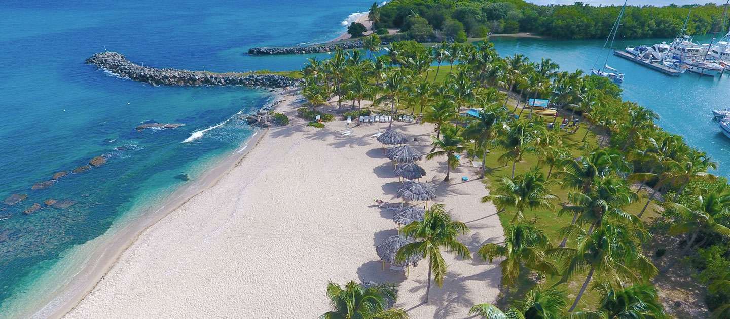 Tamarind-Reef st croix