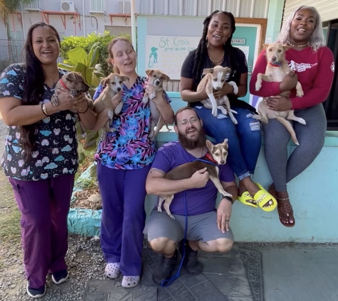 animal welfare center st croix