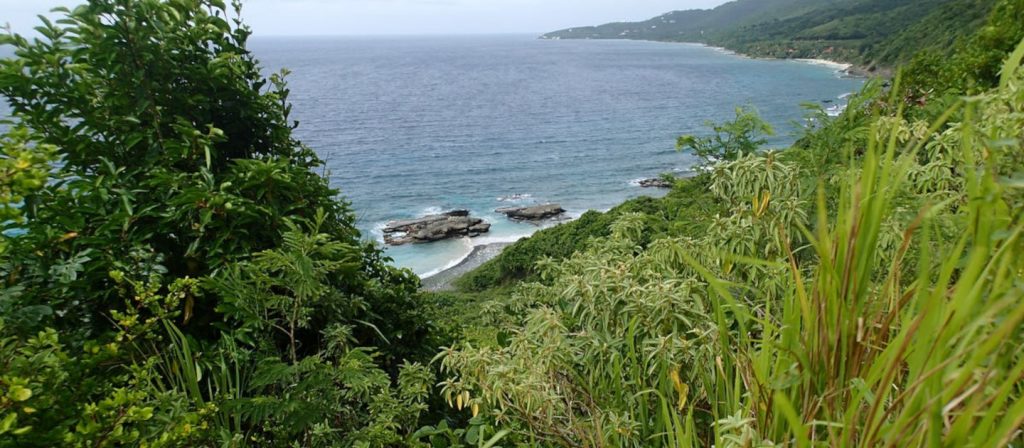 annaly-bay-tide-pools trail view st croix
