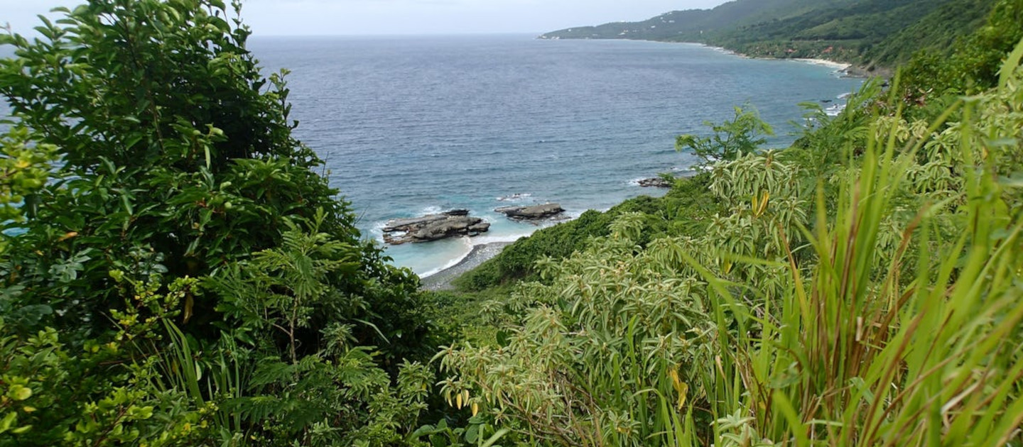 annaly-bay-tide-pools trail view st croix