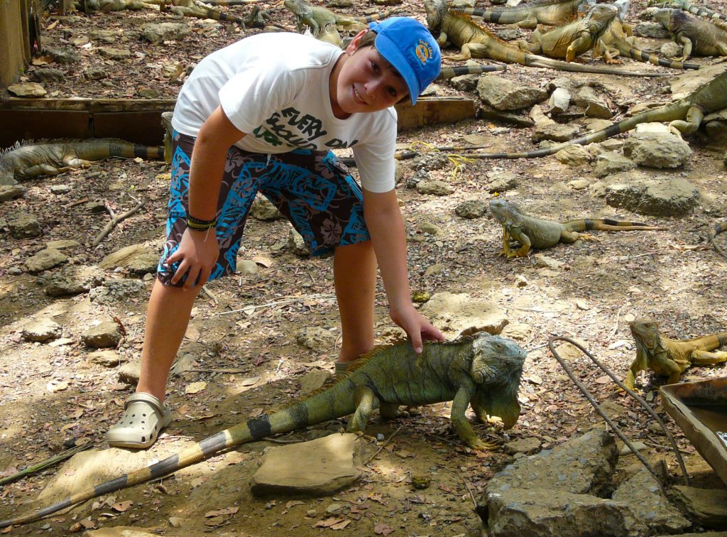 iguana-park roatan