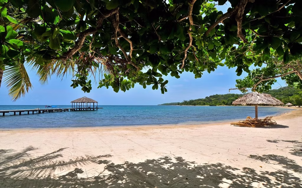 palmetto bay roatan