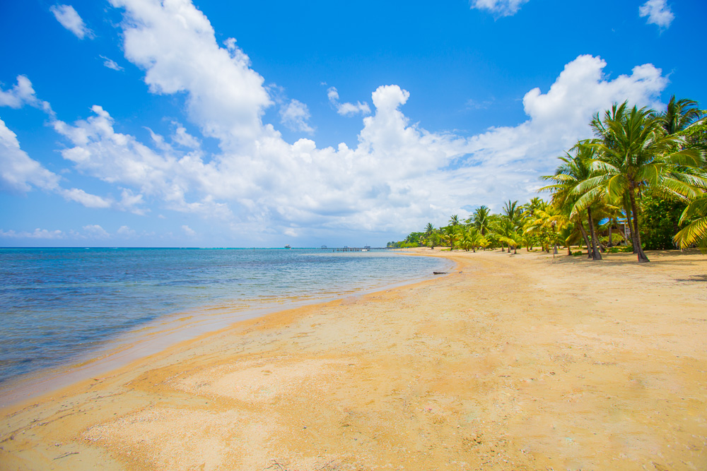 sandy bay roatan