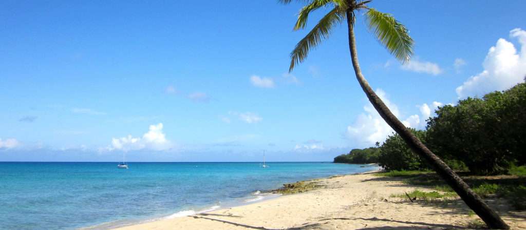 sprat-hall-beach st croix