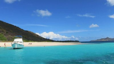 turtle beach buck-island st croix