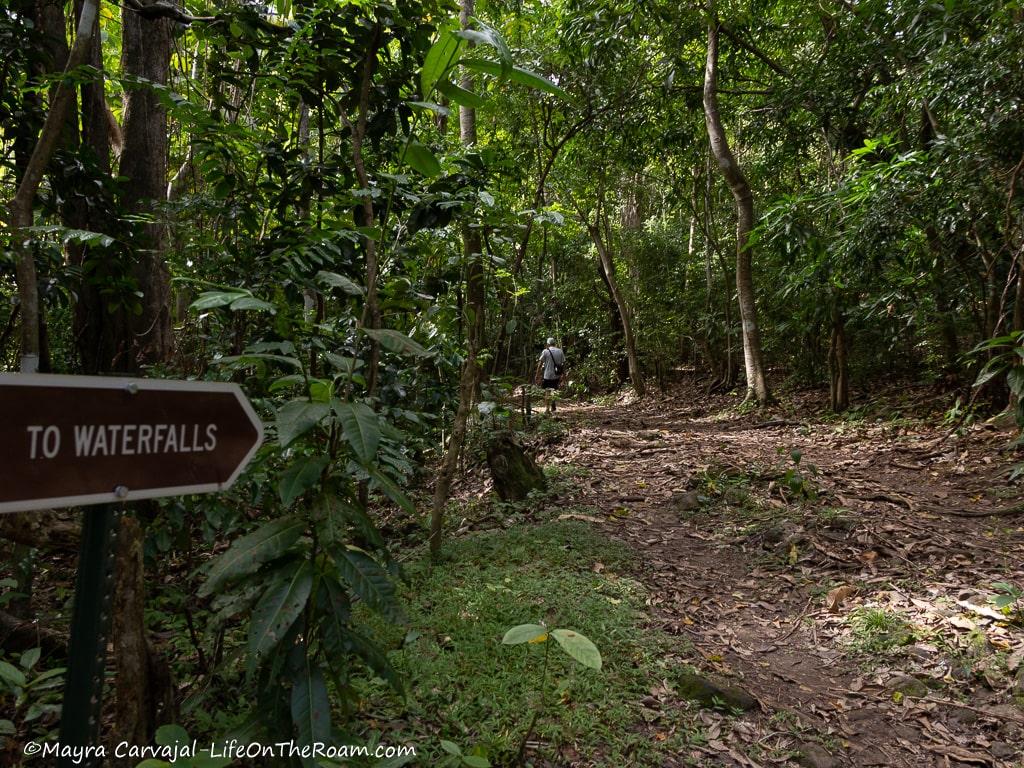 golden-rock-nature-trail-nevis