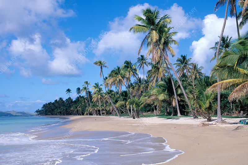 Pinneys Beach Nevis