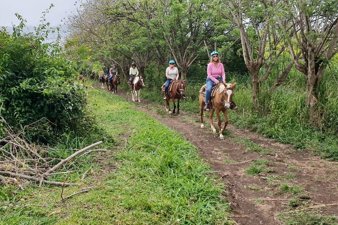 Ride-Horses-at-Trinity-Stables-St-Kitts