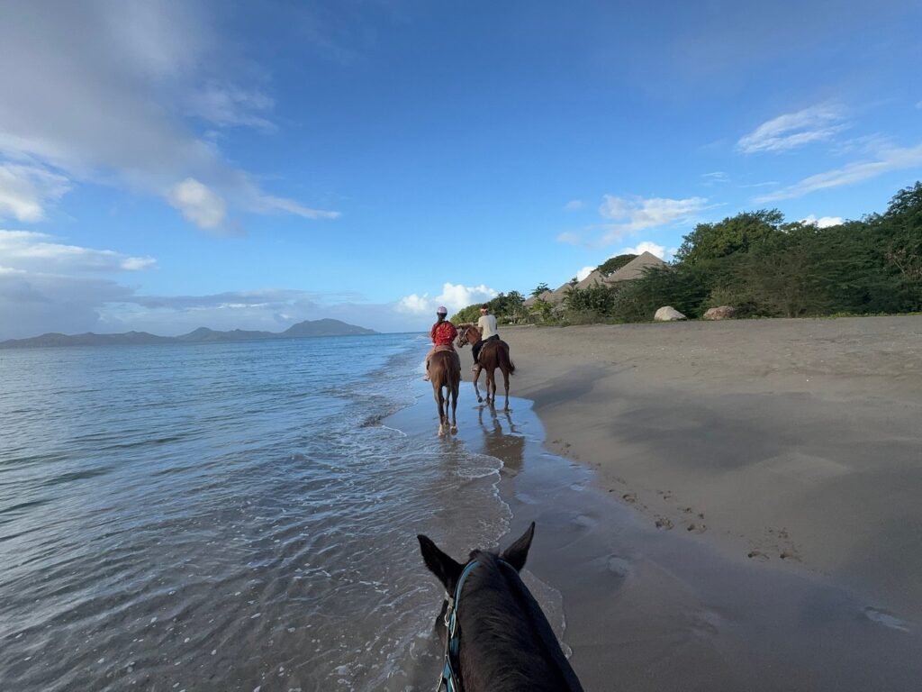 ride-horses-on-the-beach-with-nevis-equestrian-centre