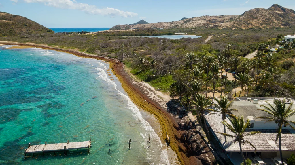 Turtle beach St Kitts