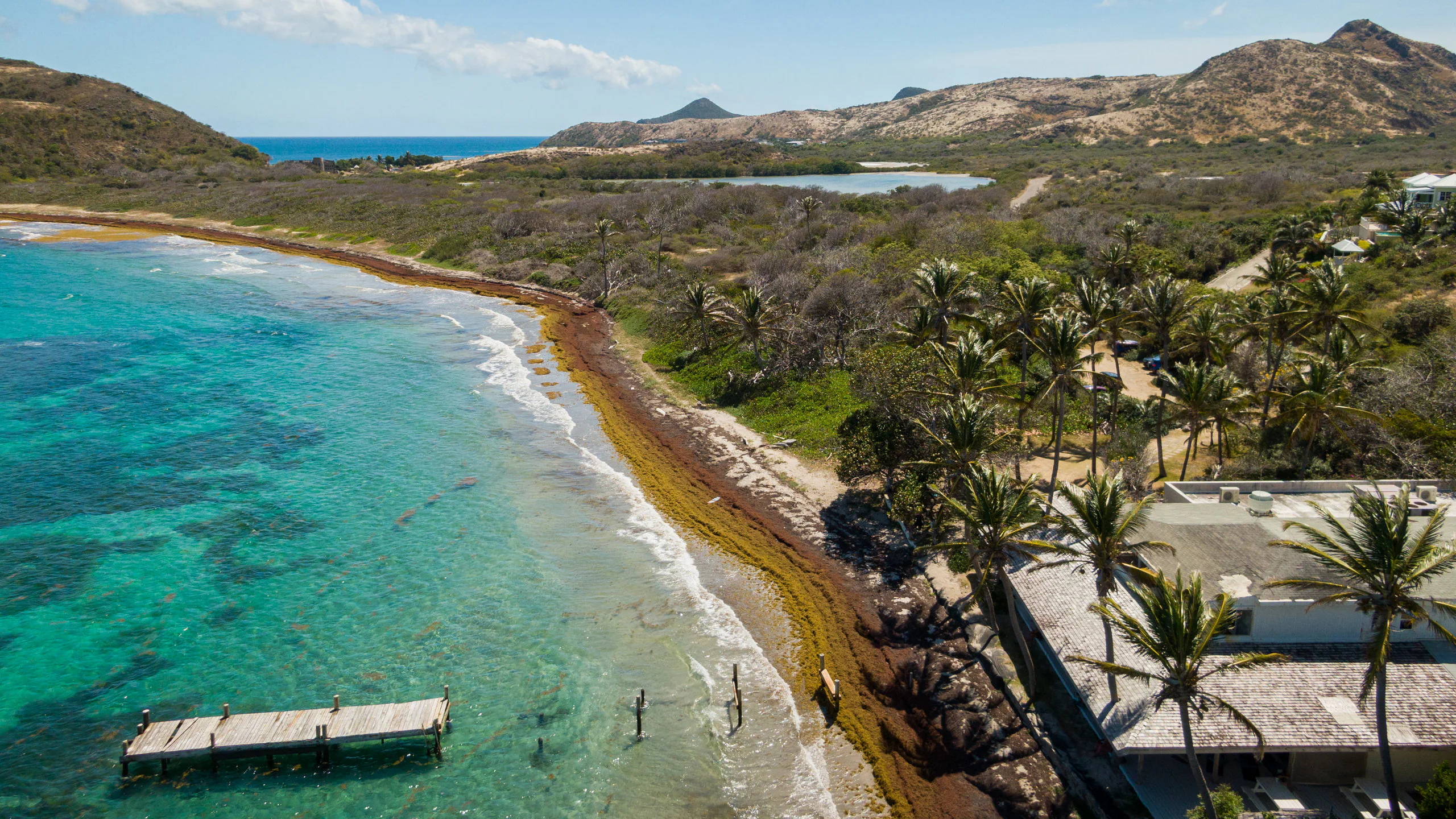 Turtle-beach-St-Kitts.webp