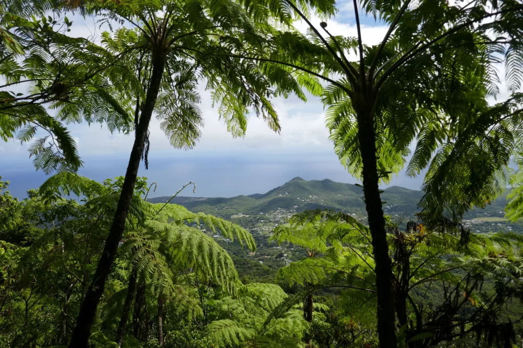 nevis peak hike