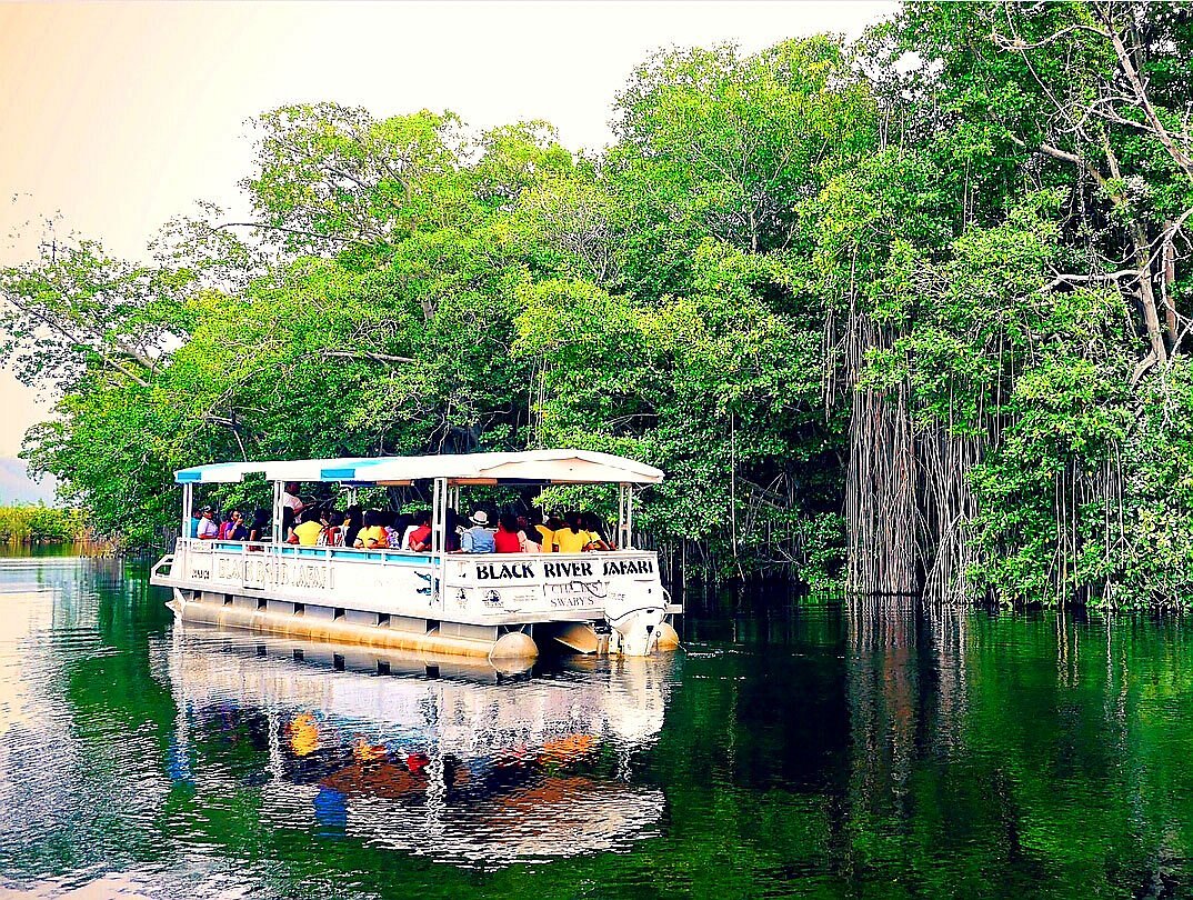 Black River Safari Jamaica